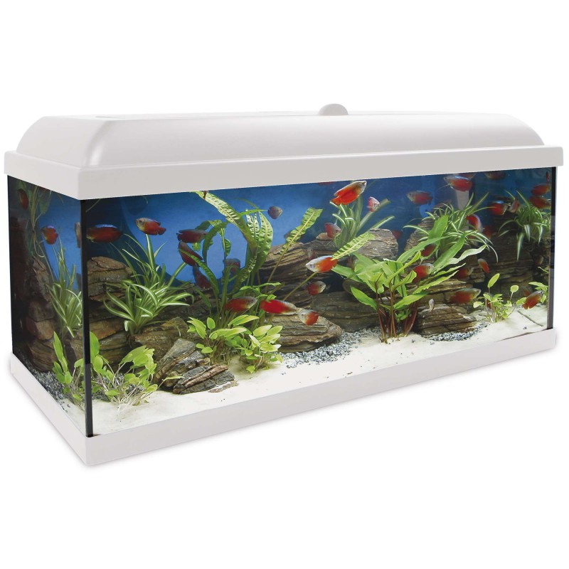 ICA AquaLed Pro 130l Blanco Optimus 600